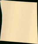 The Praying Mantis - Vintage Photograph