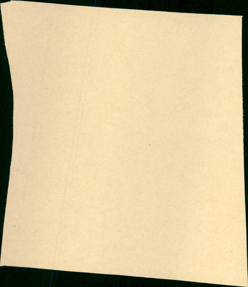 The Praying Mantis - Vintage Photograph