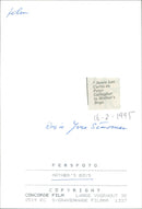 Jamie Lee Curtis and Peter Gallagher - Mother's Boys - Vintage Photograph