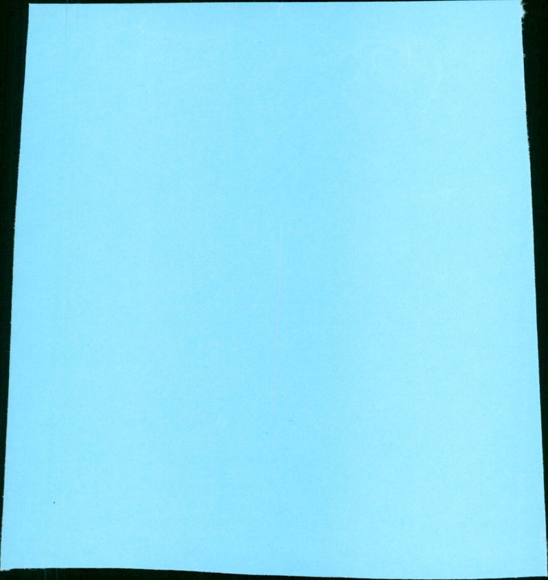 The Rabbit Trap - Vintage Photograph