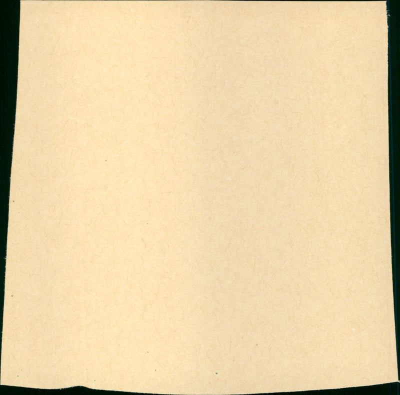 Primal Fear - Vintage Photograph