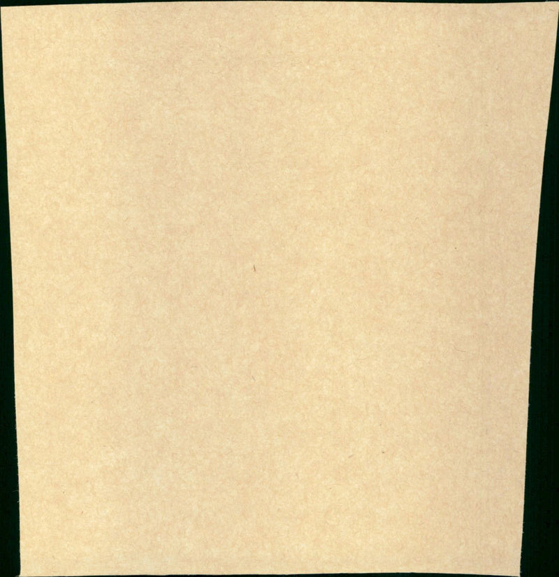 Der Schimmelreiter - Vintage Photograph