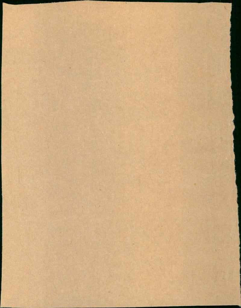 Schaakmat - Vintage Photograph