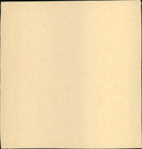 Minbō no Onna - Vintage Photograph