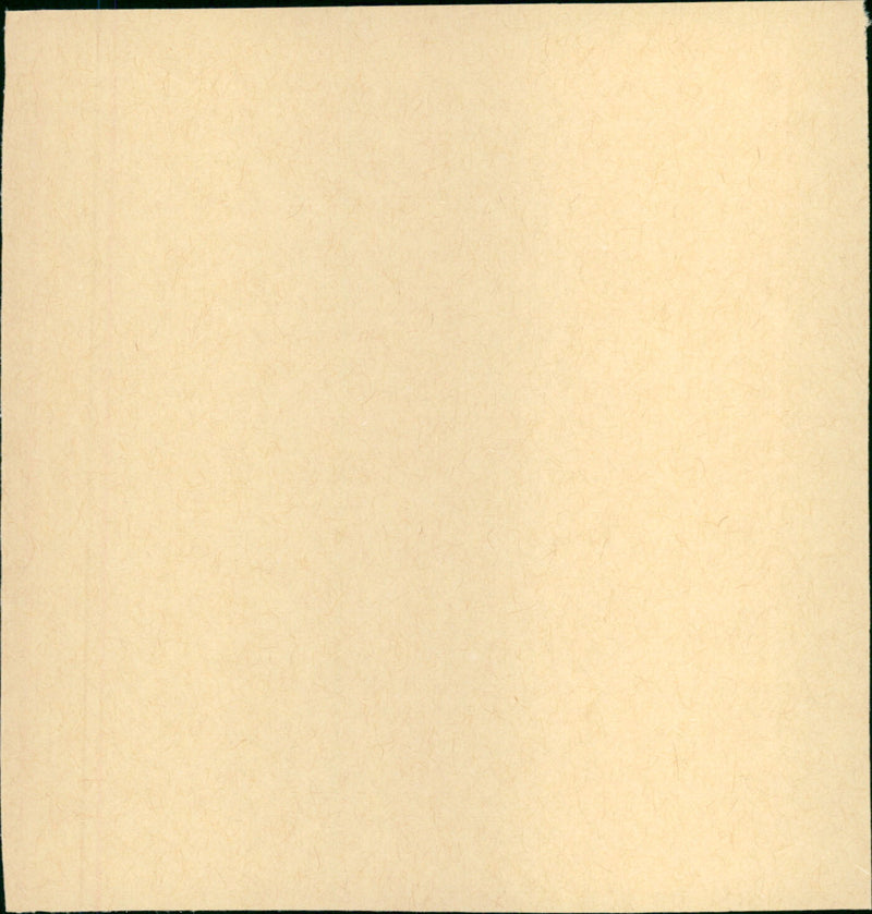 Minbō no Onna - Vintage Photograph