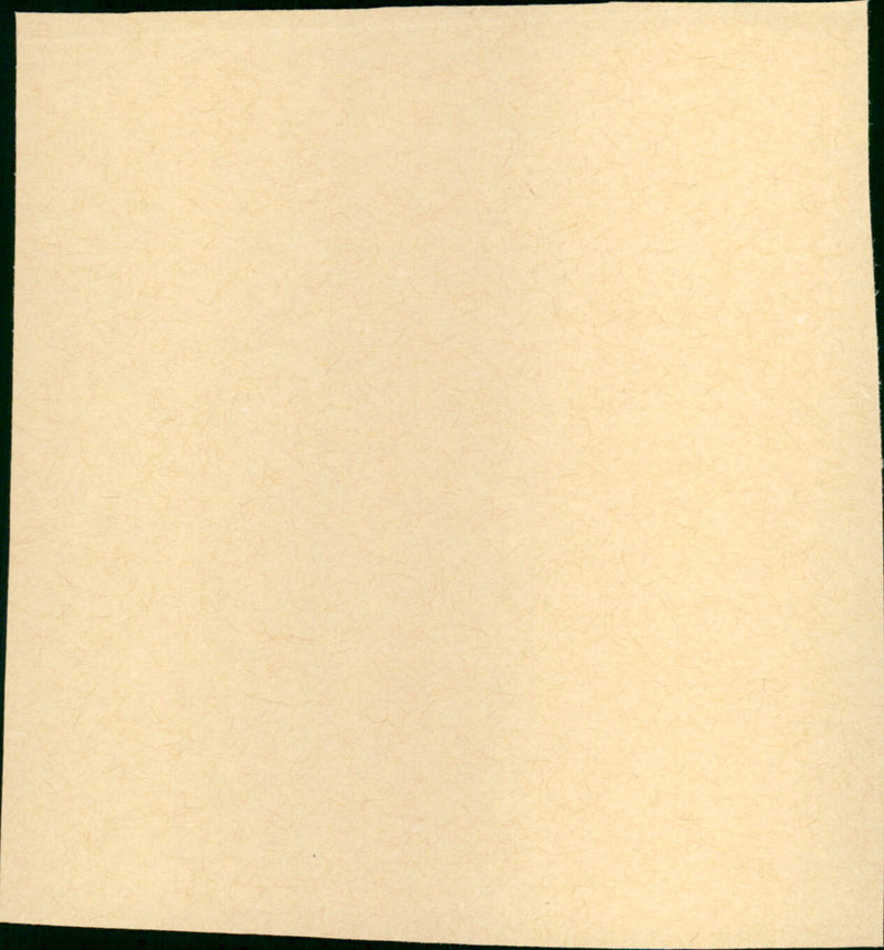 The Paleface - Vintage Photograph