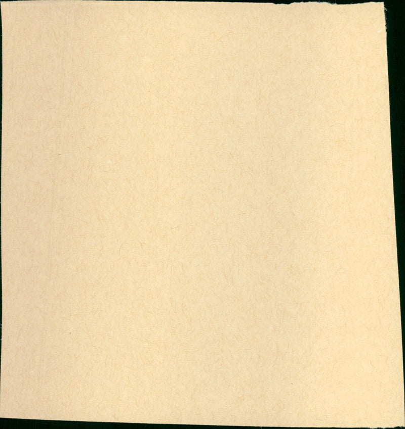 Palermo Milano, solo andata - Vintage Photograph