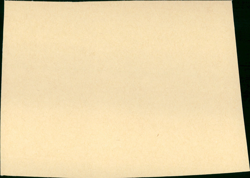 Un papillon sur l'épaule - Vintage Photograph