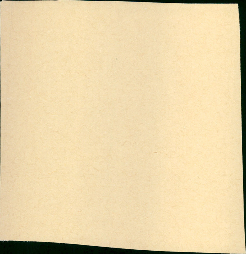 The Paper Chase - Vintage Photograph