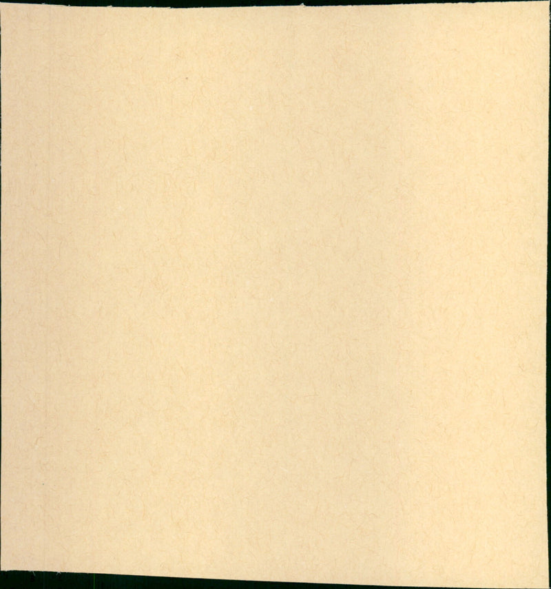 Paper Moon - Vintage Photograph