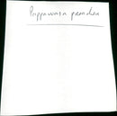 Papa was a Preacher - Vintage Photograph