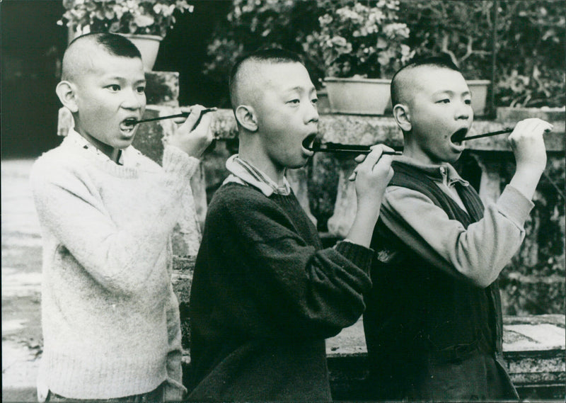 Qi Xiao Fu - Vintage Photograph