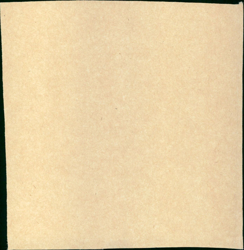 The Servant - Vintage Photograph