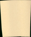 Perfect - Vintage Photograph