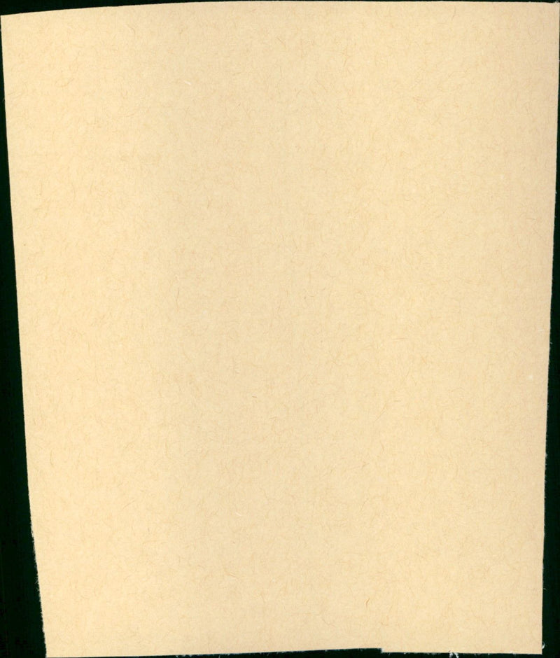 Perfect - Vintage Photograph