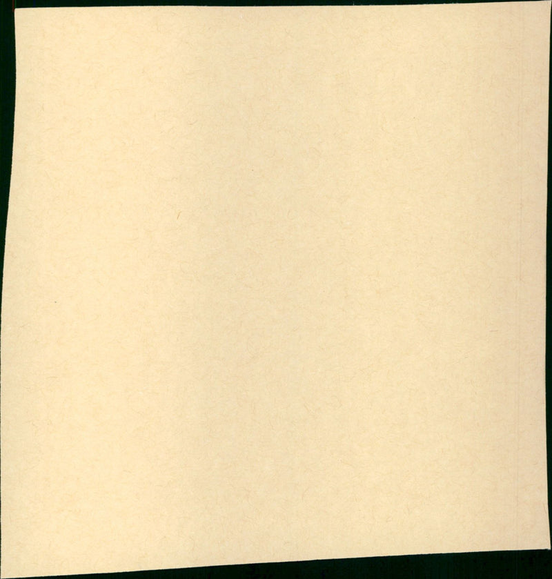 Seven Women - Vintage Photograph