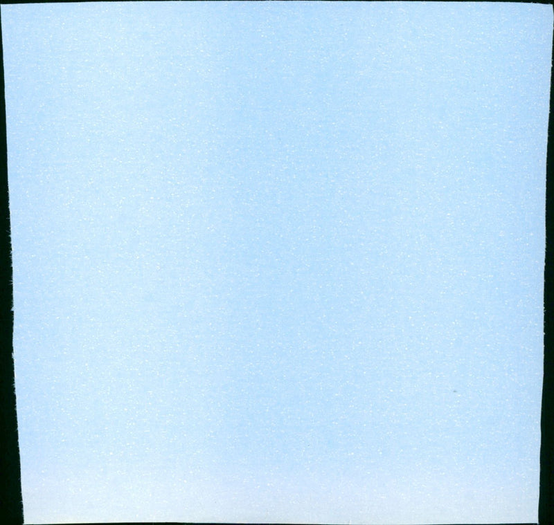 The Perfect Specimen - Vintage Photograph