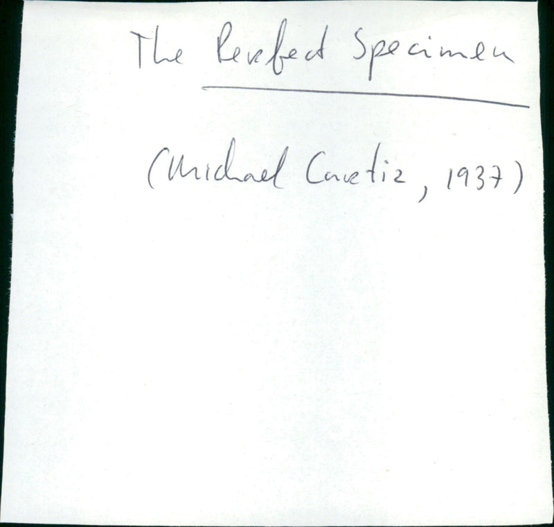 The Perfect Specimen - Vintage Photograph