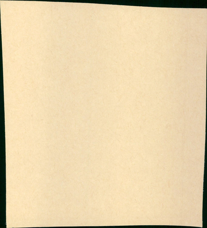 The Shadow - Vintage Photograph