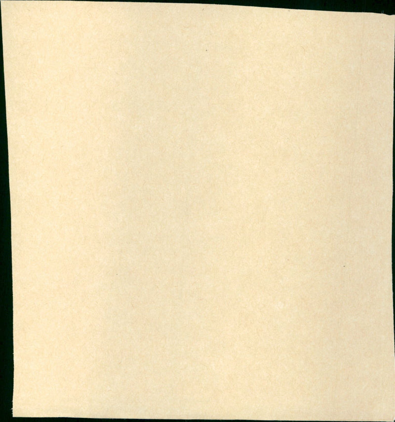 La Perla - Vintage Photograph