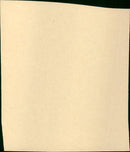 Shadow of the Thin Man - Vintage Photograph