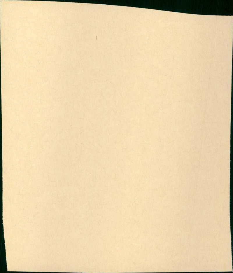 Shadow of the Thin Man - Vintage Photograph