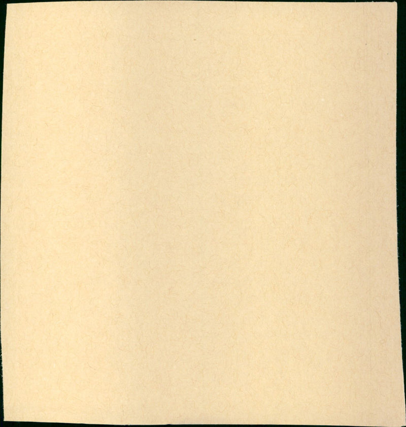 Persona - Vintage Photograph