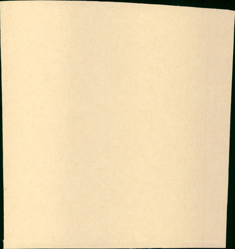 die perversitat des persers - Vintage Photograph