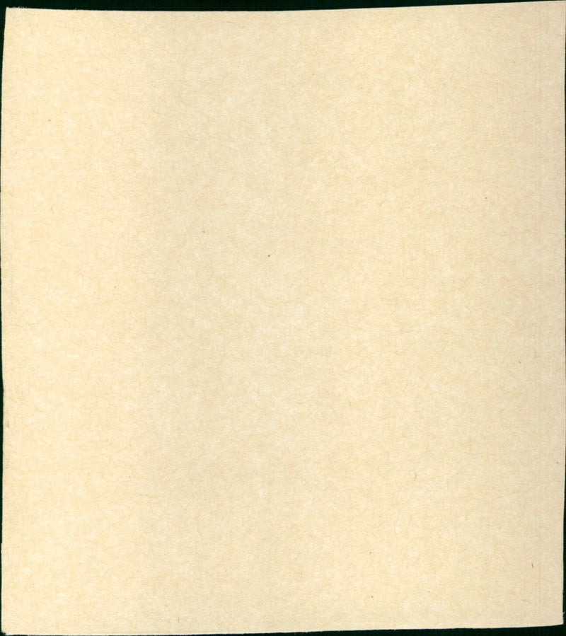 The Shape of Things to Come - Vintage Photograph