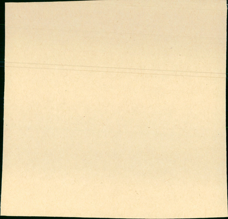 The Misfits - Vintage Photograph