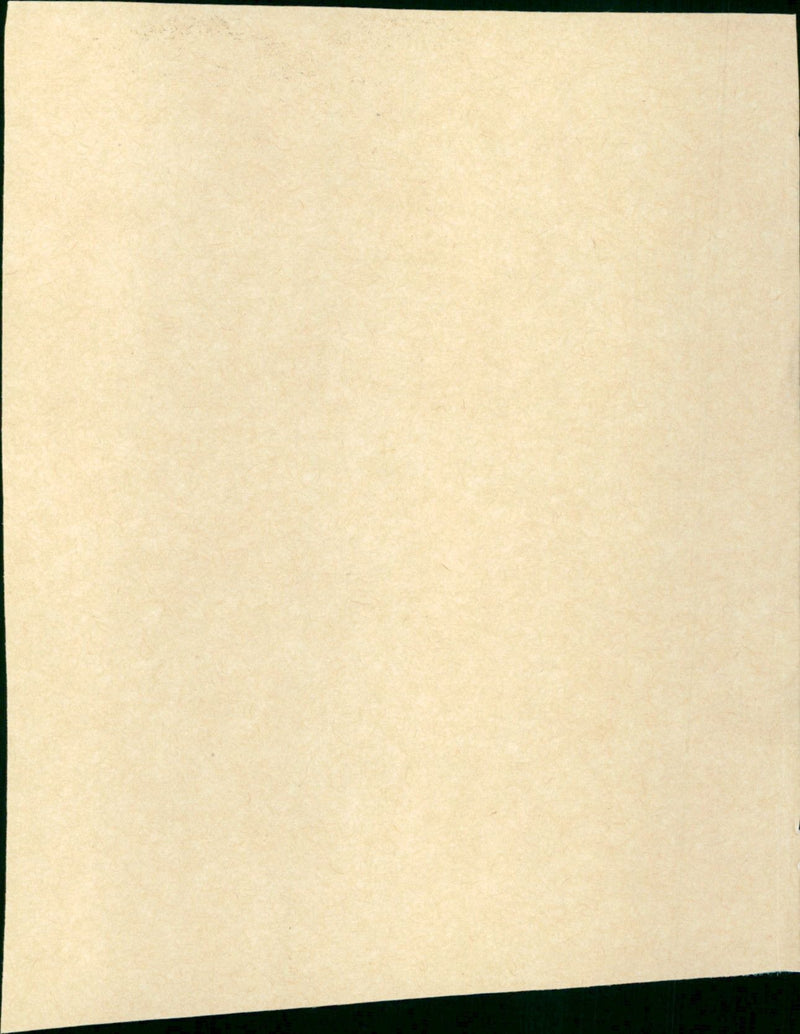 Pete's Dragon - Vintage Photograph