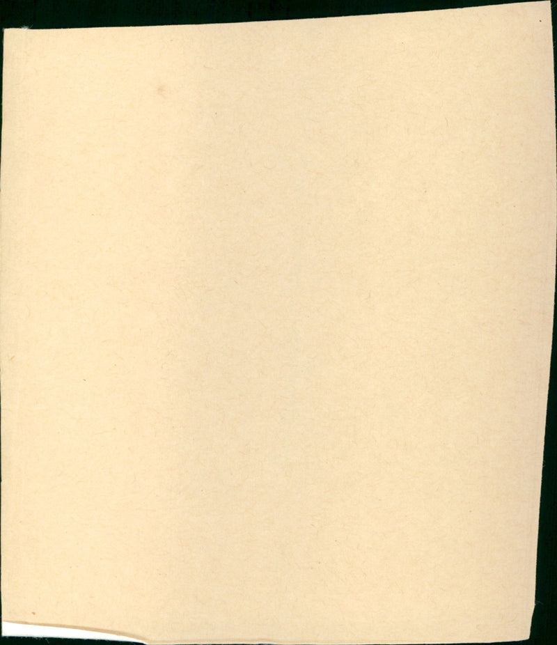 Shakedown on the Sunset Strip - Vintage Photograph