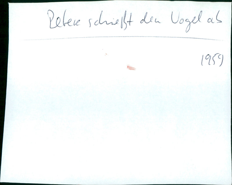 Peter schießt den Vogel ab - Vintage Photograph