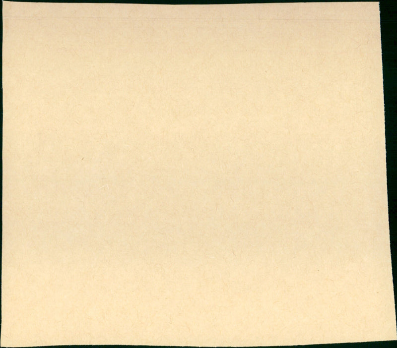 Shattered Promises - Vintage Photograph