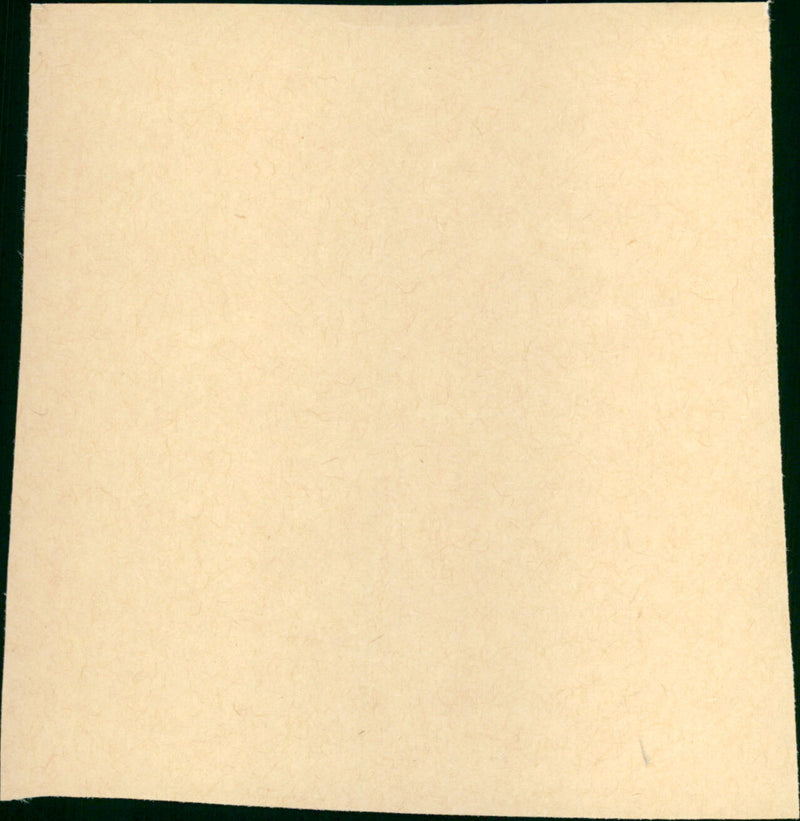 The Shawshank Redemption - Vintage Photograph