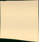 Sheena, Queen of the Jungle - Vintage Photograph