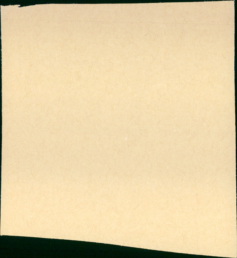 Sheena, Queen of the Jungle - Vintage Photograph