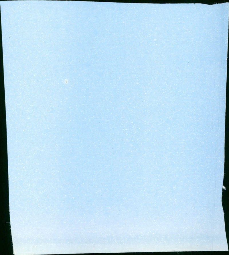 Peter's Friends - Vintage Photograph