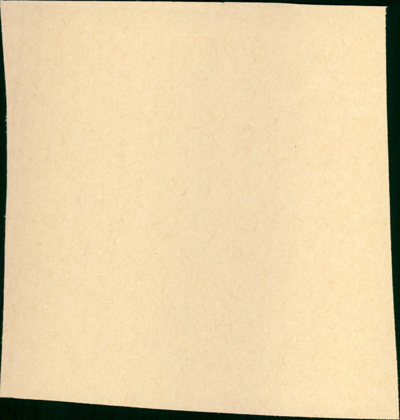 She Fought Alone - Vintage Photograph