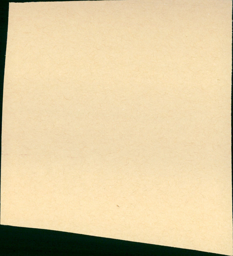 She Had to Say Yes - Vintage Photograph