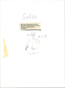 Angela Alvarado and Robby Rosa - Salsa - Vintage Photograph