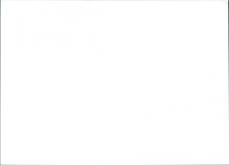 Angela Alvarado, Robby Rosa, Magali Alvarado and Rodney Harvey - Salsa - Vintage Photograph