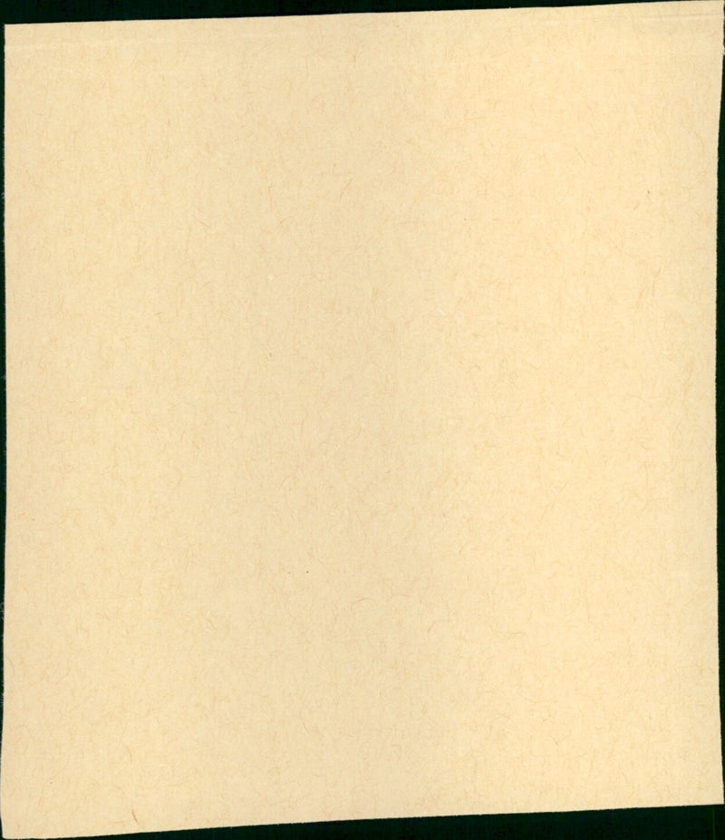 She Woke Up - Vintage Photograph