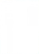 Rodney Harvey and Magali Alvarado - Salsa - Vintage Photograph