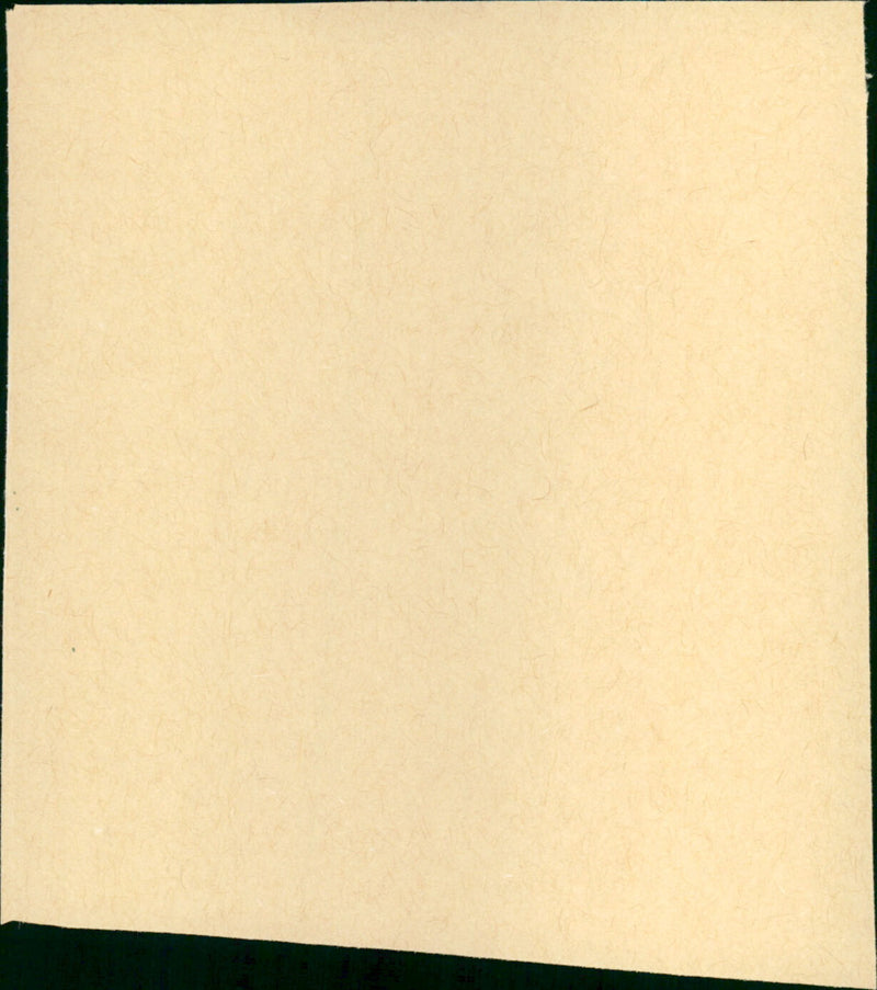 My Life as a Dog - Vintage Photograph