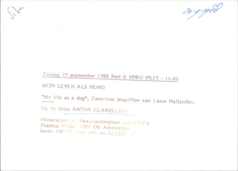 Anton Glanzelius - My Life as a Dog - Vintage Photograph