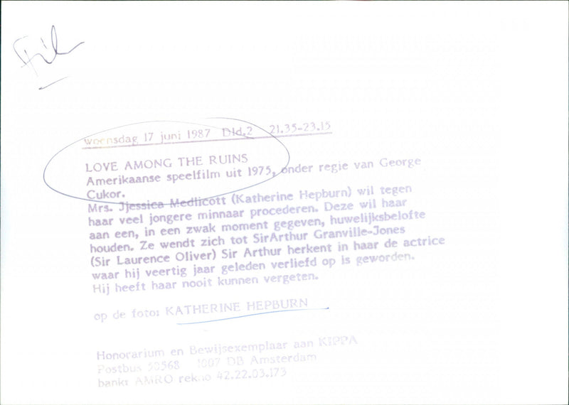 Love among the Ruins - Vintage Photograph