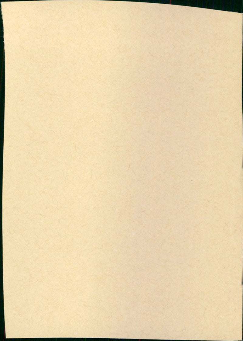 Love Among the Ruins - Vintage Photograph