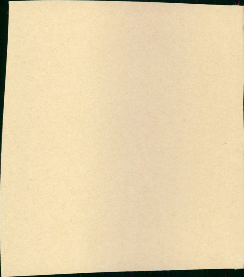 Lotte in Weimar - Vintage Photograph