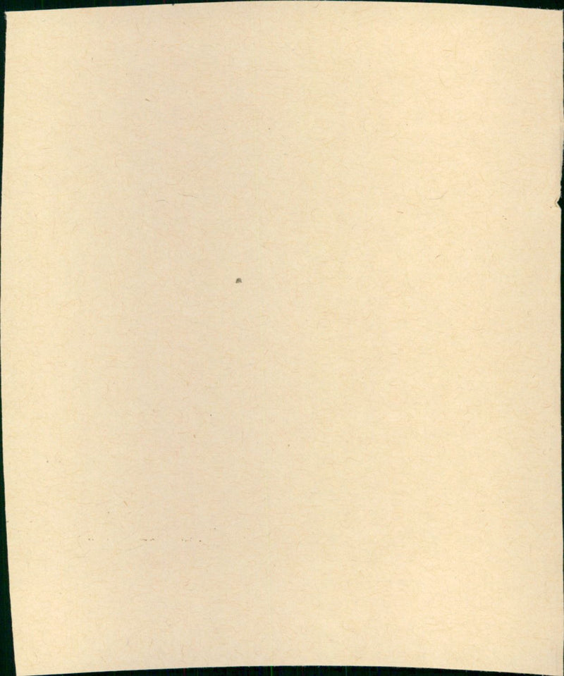 The Lost Moment - Vintage Photograph